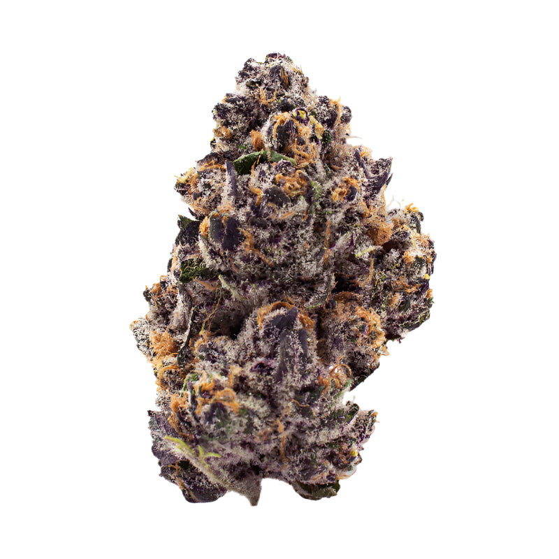 Astro Gas - Indica