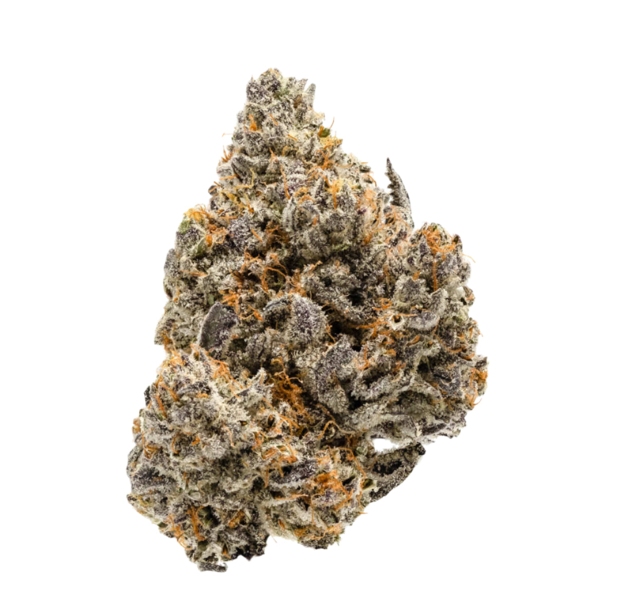 Biscotti Sherbert - Indica