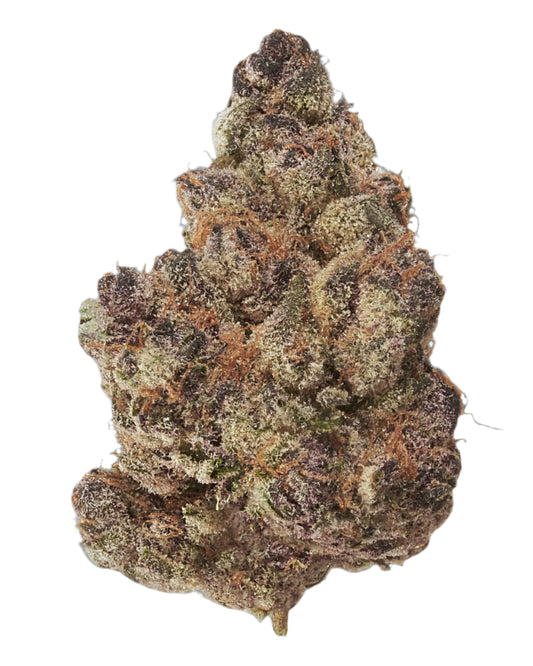 Halle Berry - Sativa