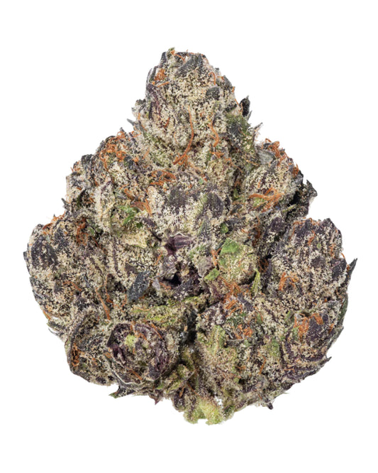 Black Truffle - Indica