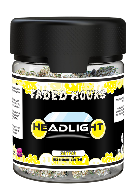 Headlight - Sativa