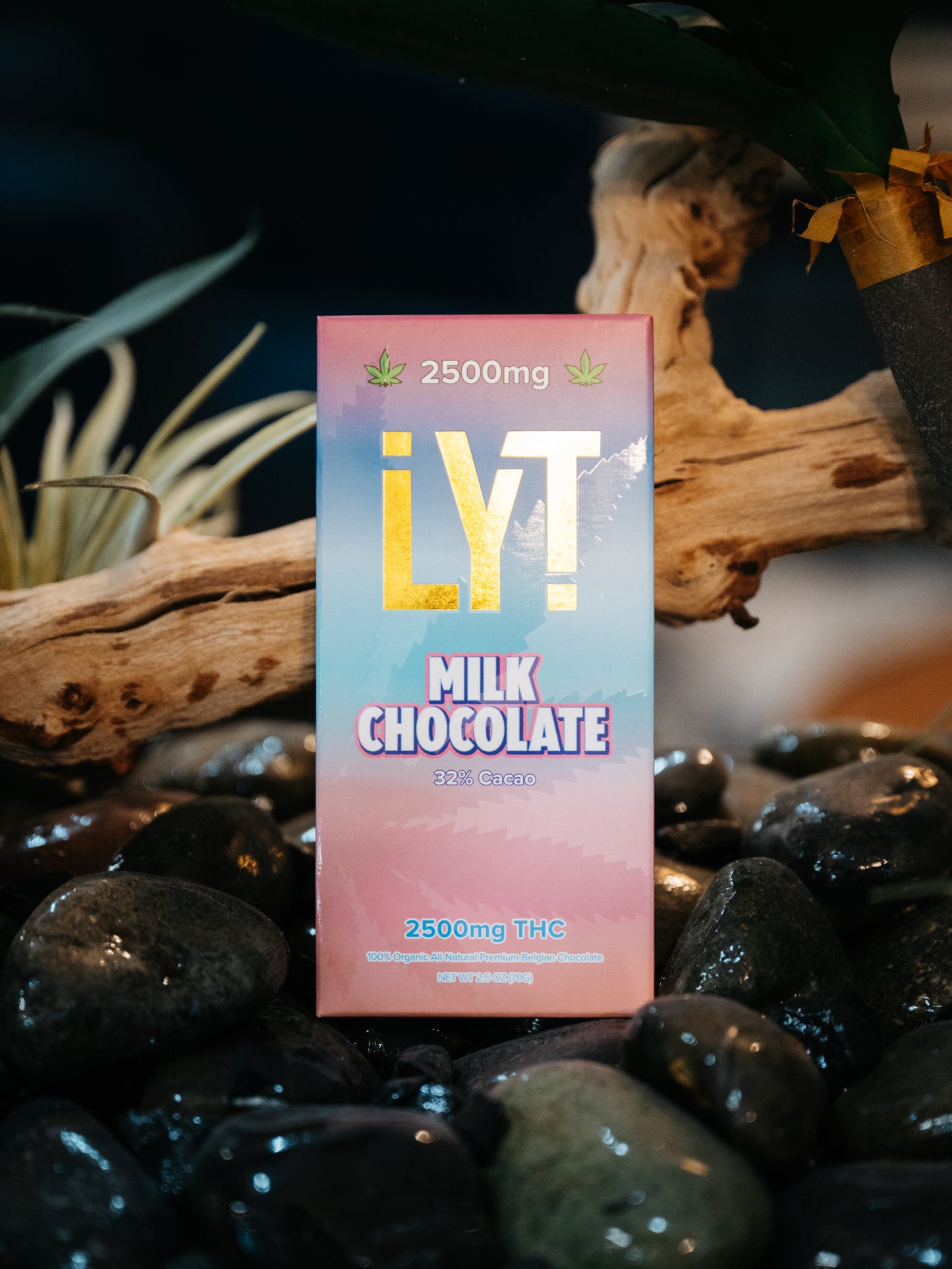 LYT Chocolates
