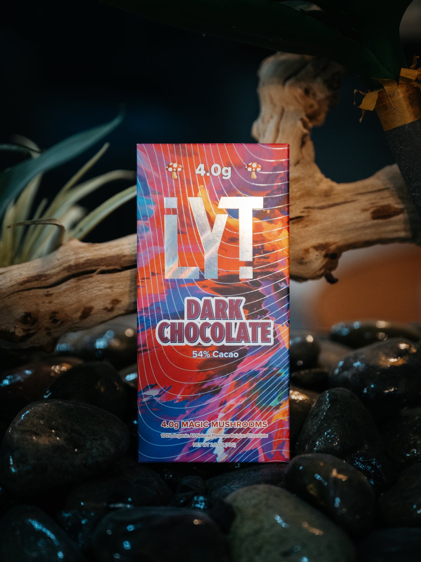 LYT Chocolates